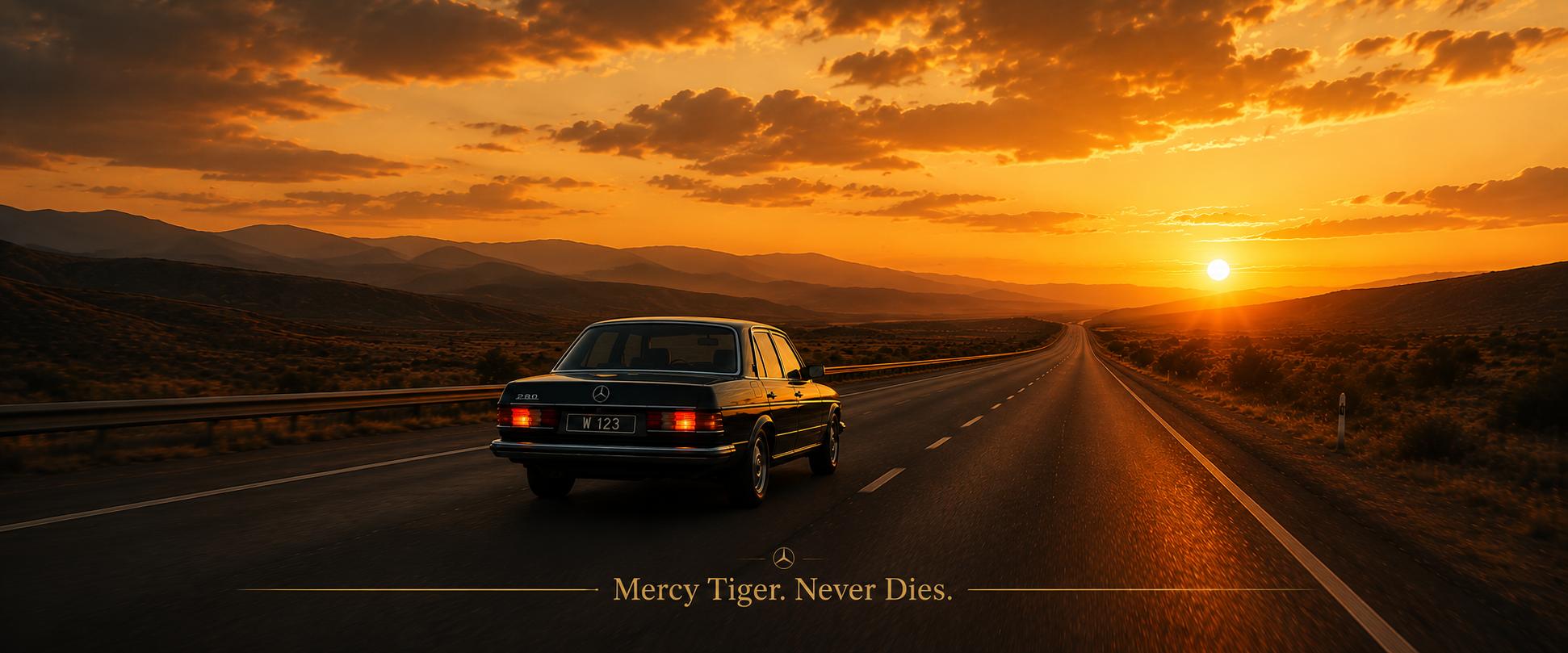 Mercy Tiger W123 Never Dies - Senja Perjalanan